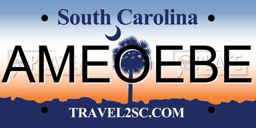 AMEOEBE South Carolina License Plate
