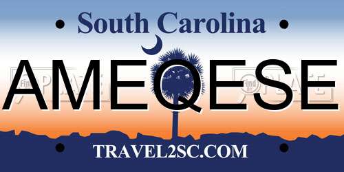 AMEQESE South Carolina License Plate
