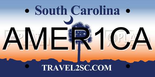 AMER1CA South Carolina License Plate