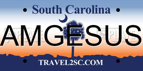 AMGESUS South Carolina License Plate