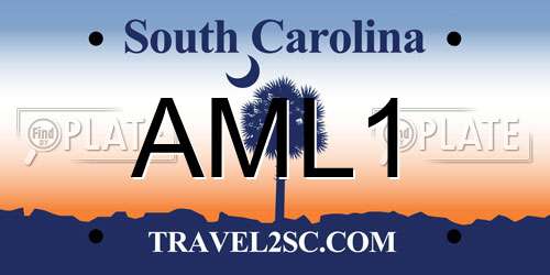 AML1 South Carolina License Plate