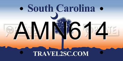 AMN614 South Carolina License Plate