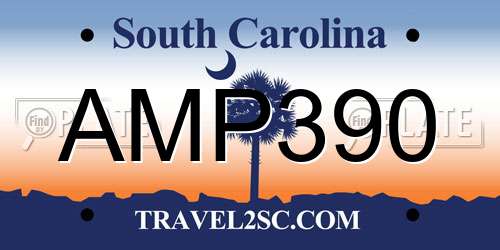 AMP390 South Carolina License Plate