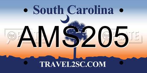 AMS205 South Carolina License Plate