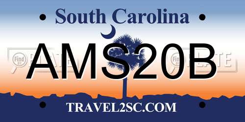 AMS20B South Carolina License Plate