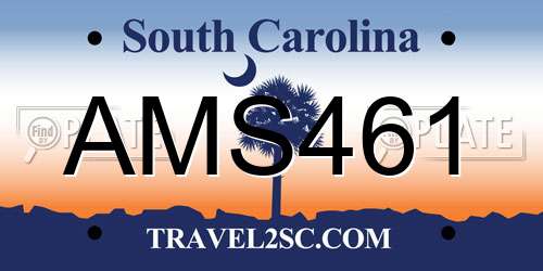 AMS461 South Carolina License Plate