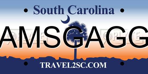 AMSGAGG South Carolina License Plate
