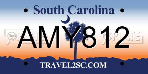 AMY812 South Carolina License Plate