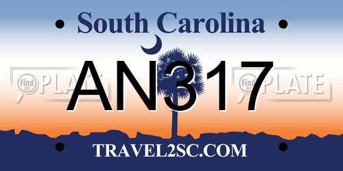 AN317 South Carolina License Plate