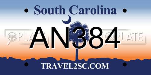 AN384 South Carolina License Plate