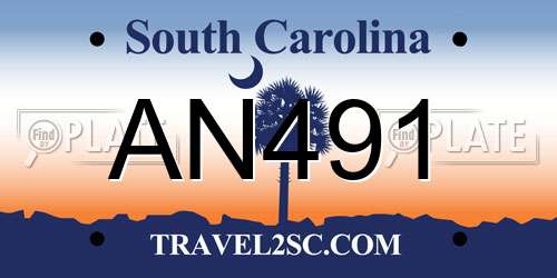 AN491 South Carolina License Plate