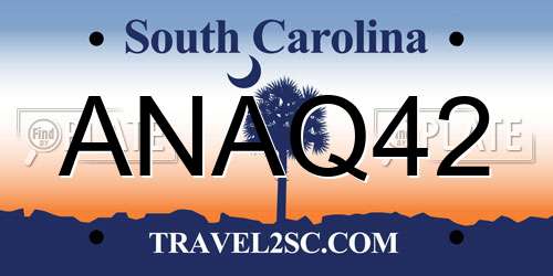 ANAQ42 South Carolina License Plate