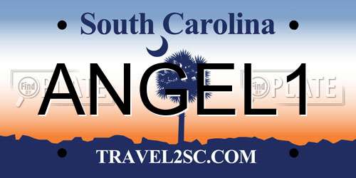 ANGEL1 South Carolina License Plate