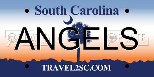 ANGELS South Carolina License Plate