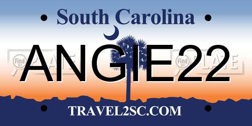 ANGIE22 South Carolina License Plate