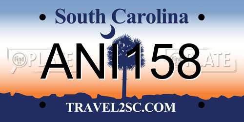 ANI158 South Carolina License Plate