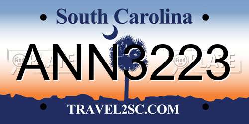 ANN3223 South Carolina License Plate