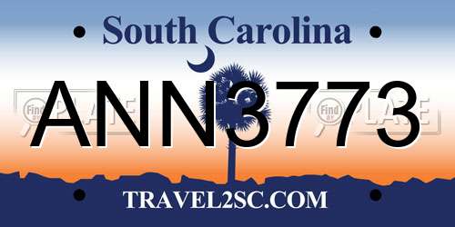 ANN3773 South Carolina License Plate