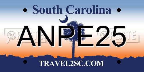 ANPE25 South Carolina License Plate