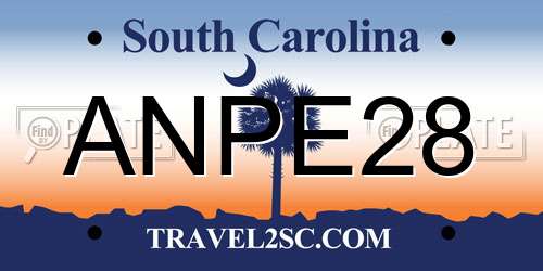 ANPE28 South Carolina License Plate