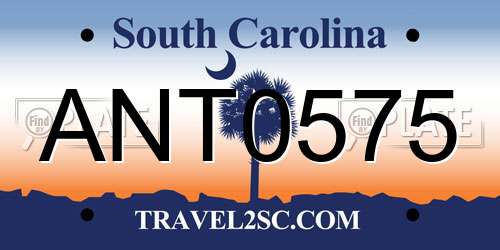 ANT0575 South Carolina License Plate