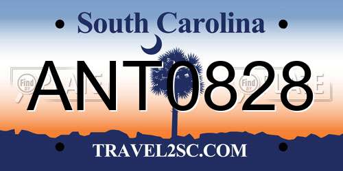 ANT0828 South Carolina License Plate
