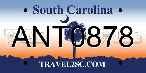 ANT0878 South Carolina License Plate