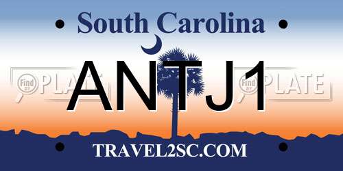 ANTJ1 South Carolina License Plate