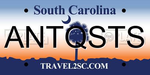 ANTQSTS South Carolina License Plate