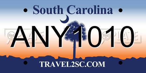 ANY1010 South Carolina License Plate