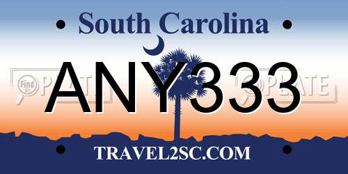 ANY333 South Carolina License Plate