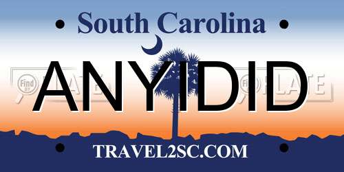 ANYIDID South Carolina License Plate