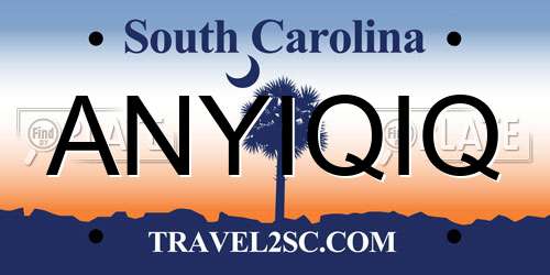 ANYIQIQ South Carolina License Plate