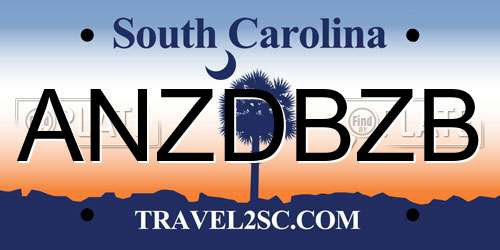 ANZDBZB South Carolina License Plate