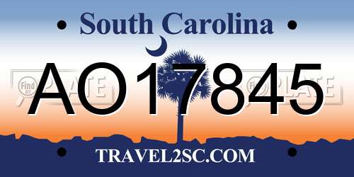 AO17845 South Carolina License Plate