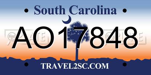 AO17848 South Carolina License Plate