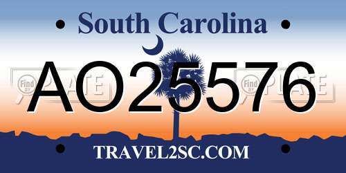 AO25576 South Carolina License Plate