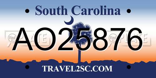 AO25876 South Carolina License Plate
