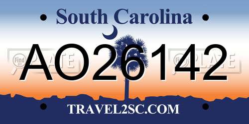 AO26142 South Carolina License Plate