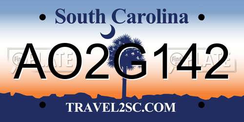 AO2G142 South Carolina License Plate