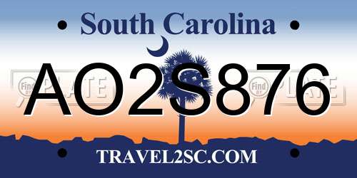 AO2S876 South Carolina License Plate