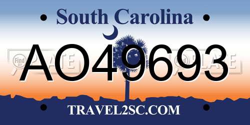 AO49693 South Carolina License Plate