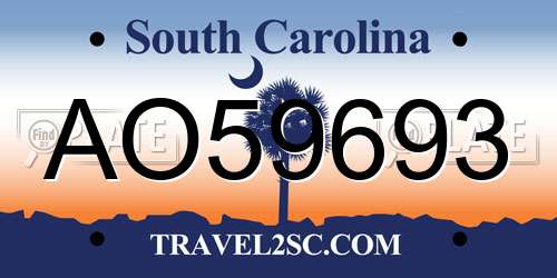 AO59693 South Carolina License Plate
