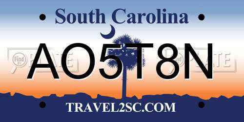 AO5T8N South Carolina License Plate