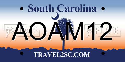 AOAM12 South Carolina License Plate