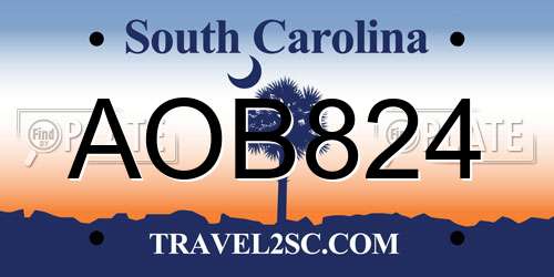 AOB824 South Carolina License Plate