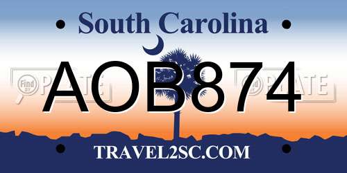 AOB874 South Carolina License Plate
