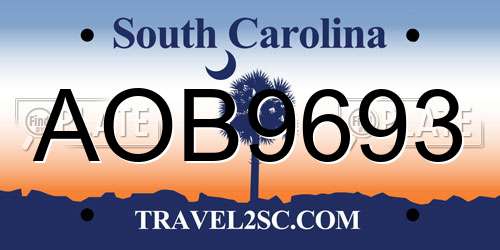 AOB9693 South Carolina License Plate