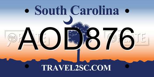 AOD876 South Carolina License Plate