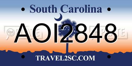 AOI2848 South Carolina License Plate
